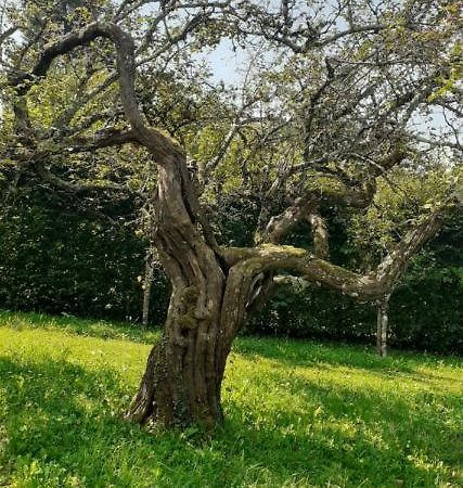 Willa Maison Chaleureuse Et Ecologique Coyriere Zewnętrze zdjęcie