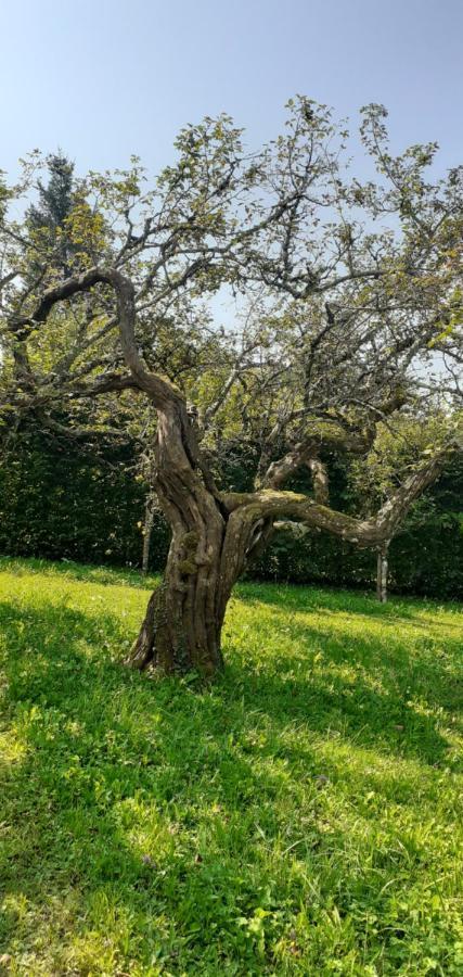 Willa Maison Chaleureuse Et Ecologique Coyriere Zewnętrze zdjęcie